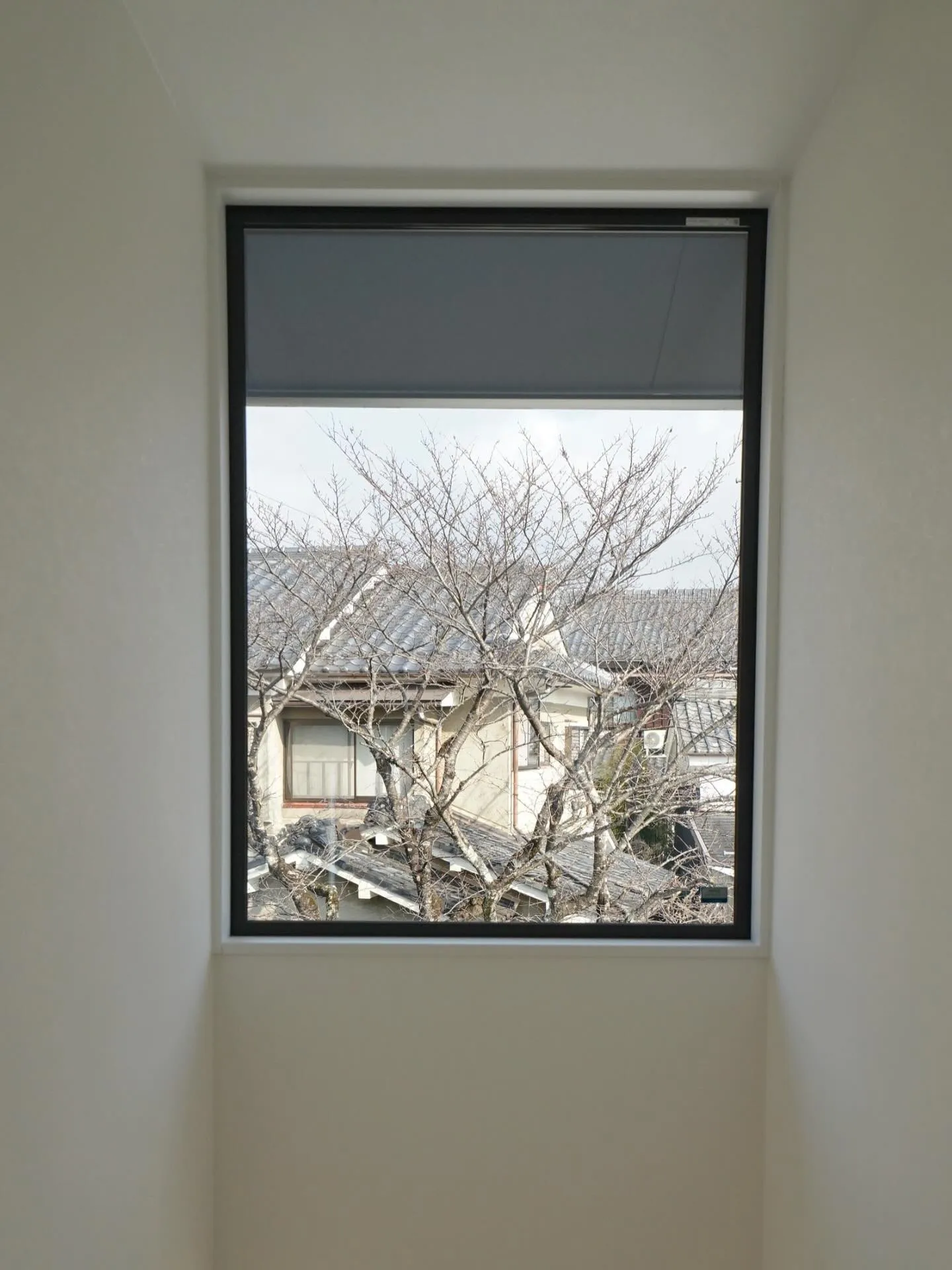 ・