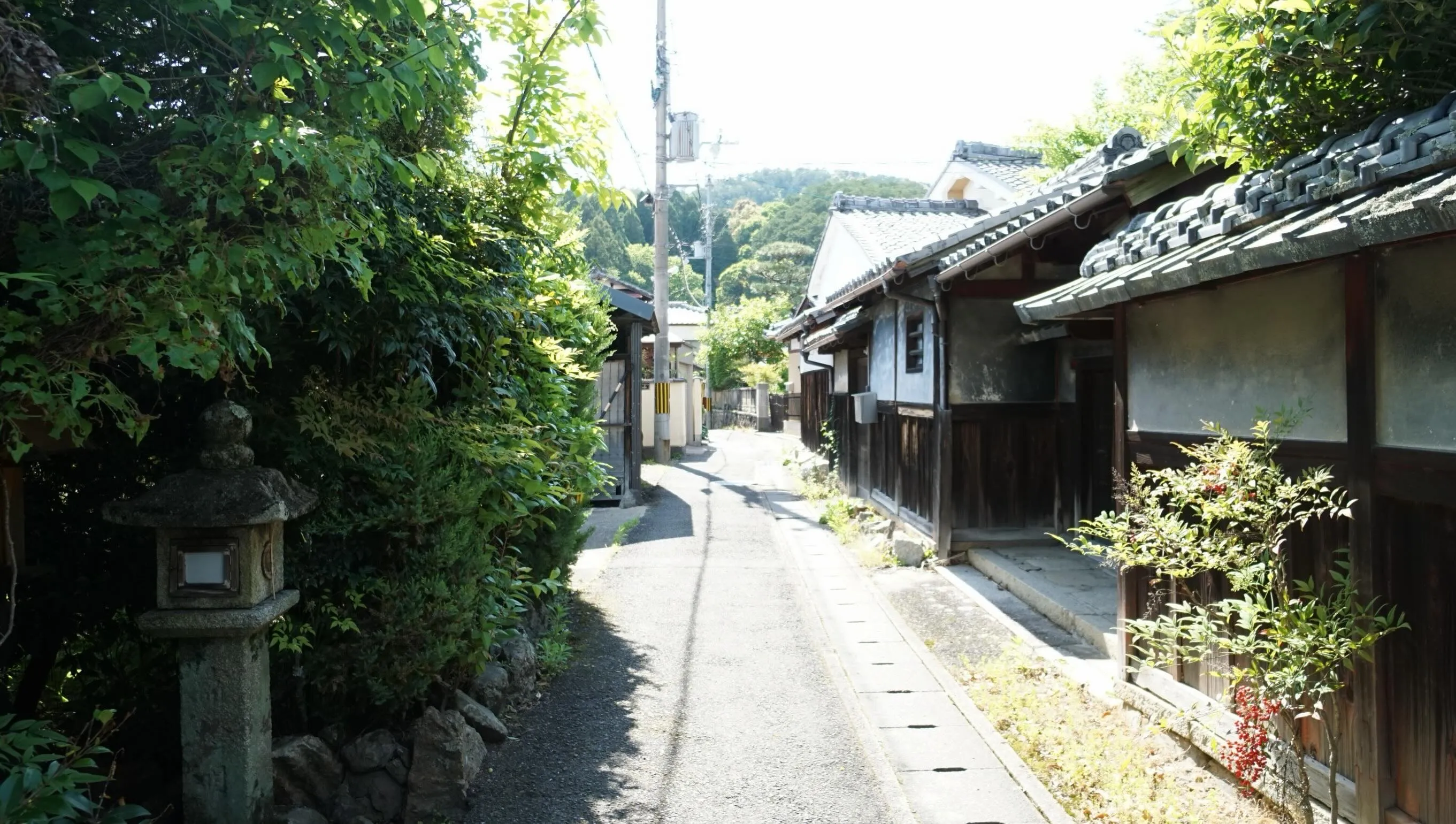 ・