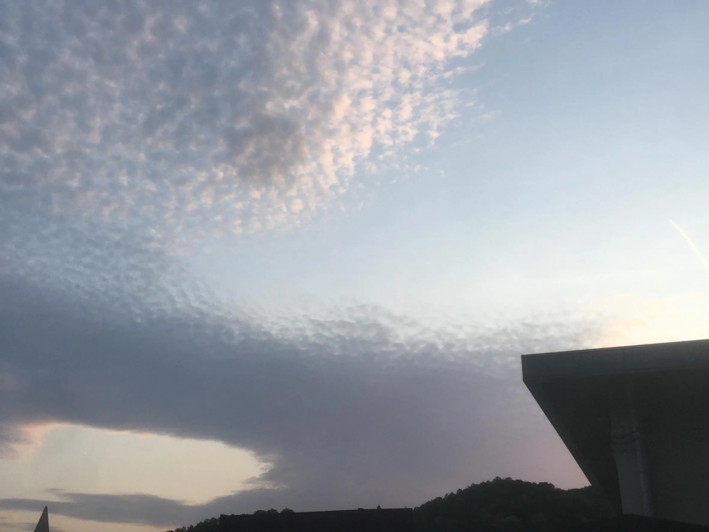 ・