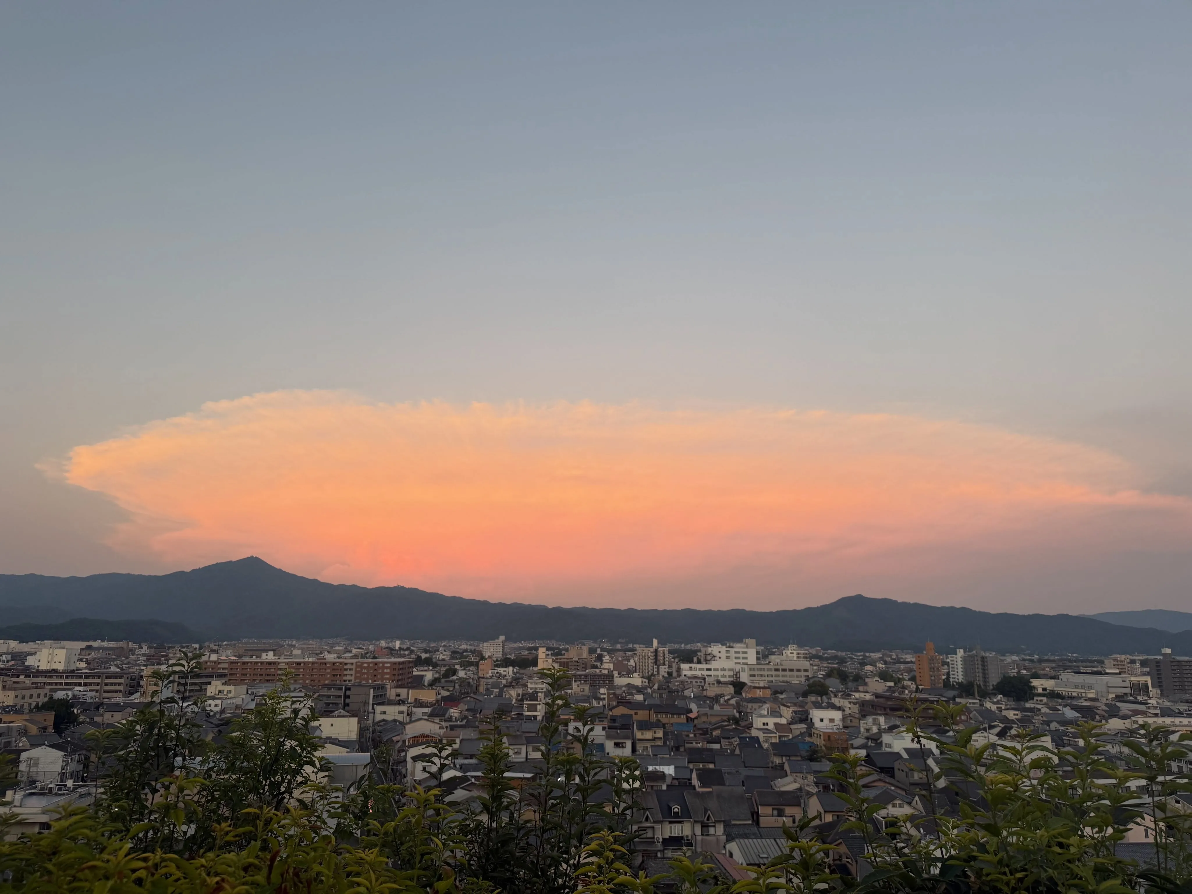 ・