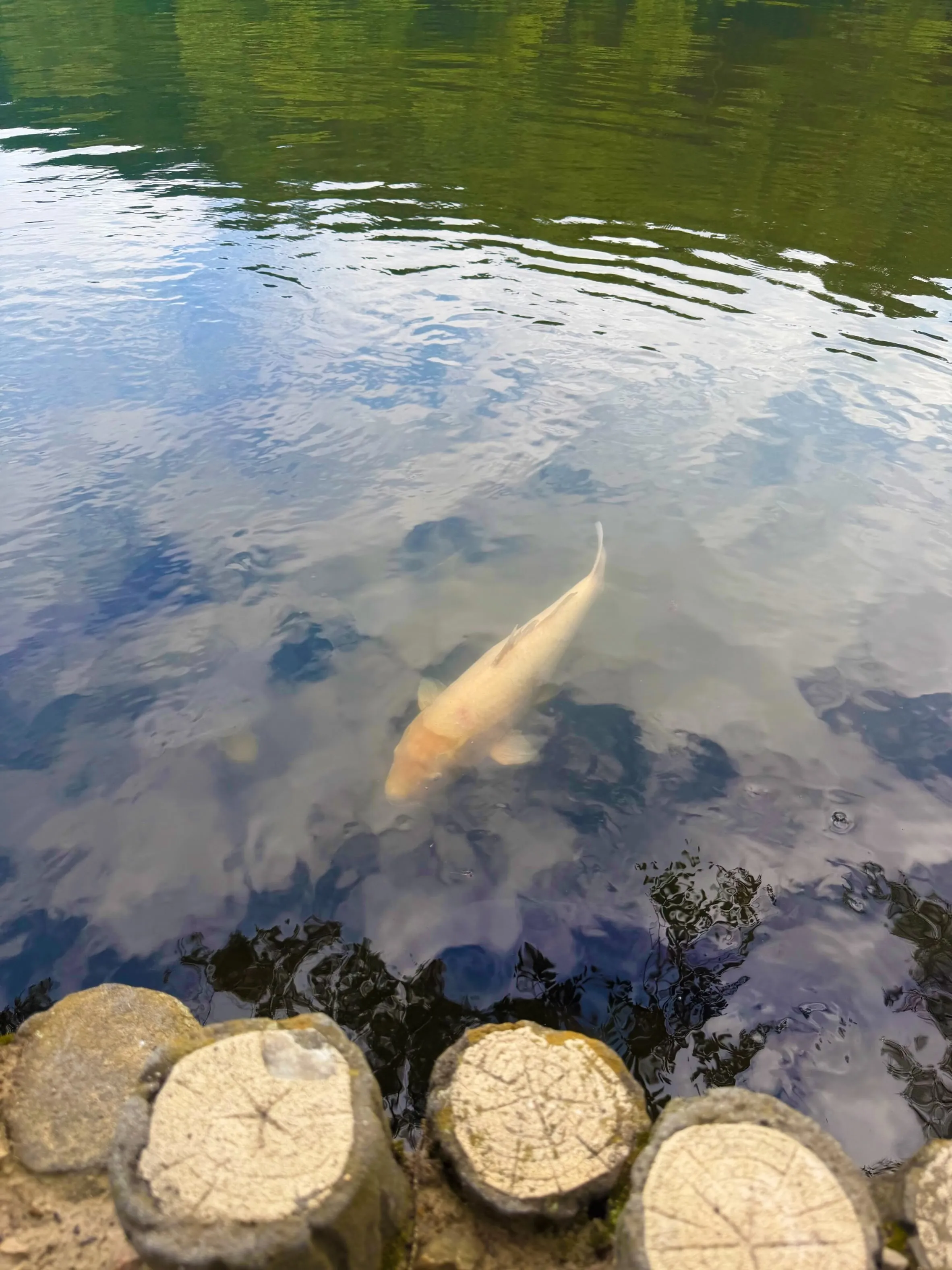 ・