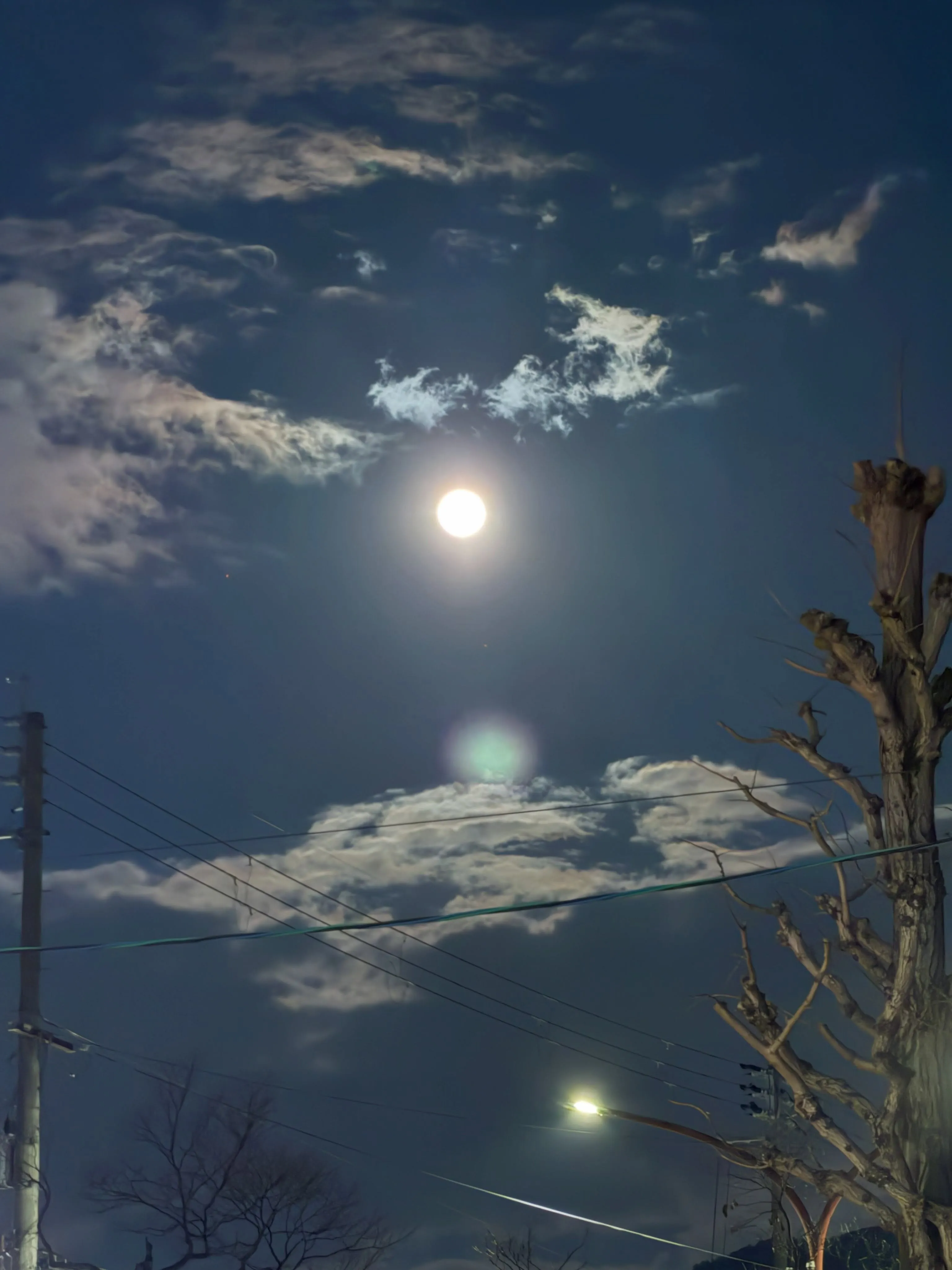 ・